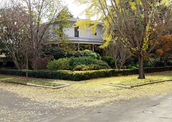 McDonald Avenue Neighborhood (12/31/2003)