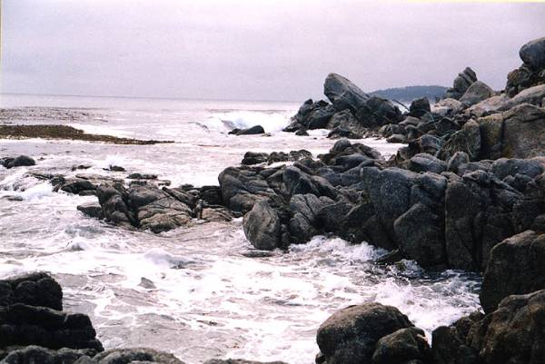Middle Beach aka Ribera Beach @ Carmel River State Beach (SB) (12/31/2003)