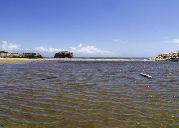 Natural Bridges State Beach (SB) (12/31/2003)
