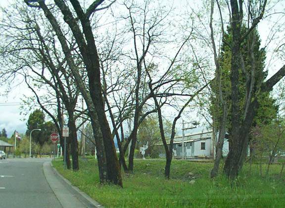 Overshine Wine Company (f.k.a. Armida Winery) (12/31/2003)