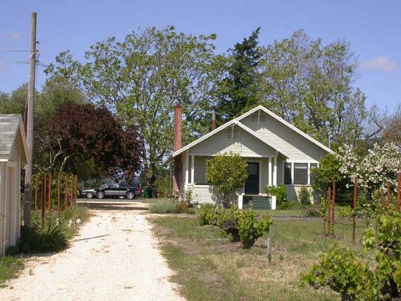 Olivet Grange Vineyard (12/31/2003)