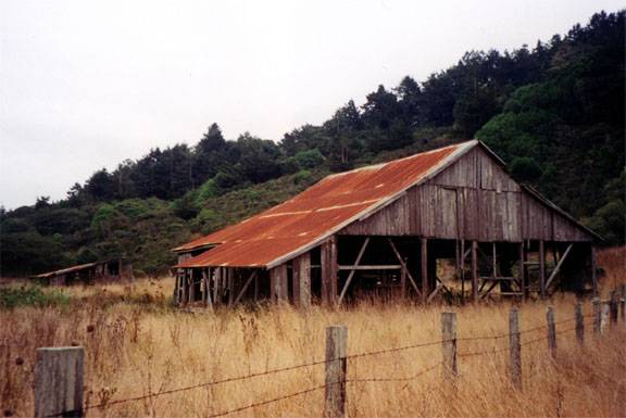 Pomo Canyon (Sonoma Coast State Park) (12/31/2003)