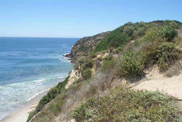 Point Dume Bluffs / Headlands / Big Dume Beach and Pirates Cove Beach @ Point Dume State Preserve - CFC (7/16/2010)