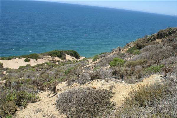 Point Dume Bluffs / Headlands / Big Dume Beach and Pirates Cove Beach @ Point Dume State Preserve - CFC (7/16/2010)