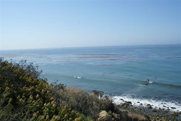 El Pescador State Beach @ Robert H. Meyer Memorial State Beach (SB) - CFC (7/22/2010)
