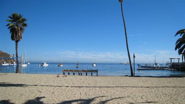 Catalina Island, Avalon Bay (7/27/2010 - Credits: Kent Matsuoka)