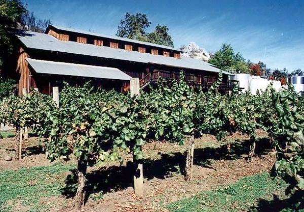 Stevenot Winery (12/31/2003)