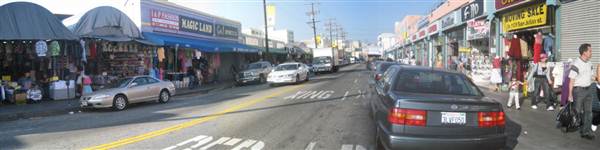Maple Ave. (9/1/2010 - Credits: Lindsay Mizrahi)