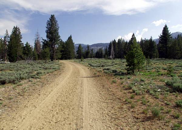 Washoe Meadows State Park (SP) (12/31/2003)