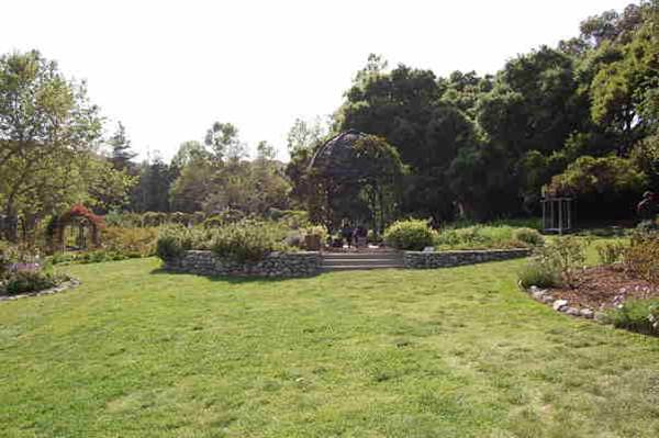 Descanso Gardens - Rose Garden (6/14/2011 - Credits: David Golden)