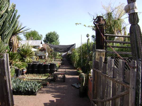 California Nursery Specialties - Cactus Ranch (6/22/2011 - Credits: J. Steven Witkowski)