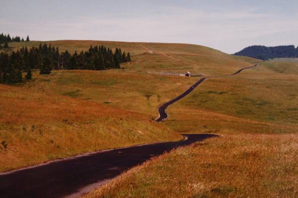 Bear River Ridge Road - Off HWY 101 (3/5/2008)