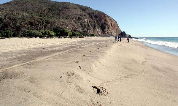 Sycamore Cove State Beach (SB) & Campground @ Point Mugu State Park (SP) - CFC (3/10/2008)
