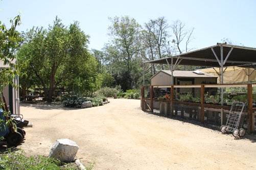 Shipley Nature Center (3/28/2012)