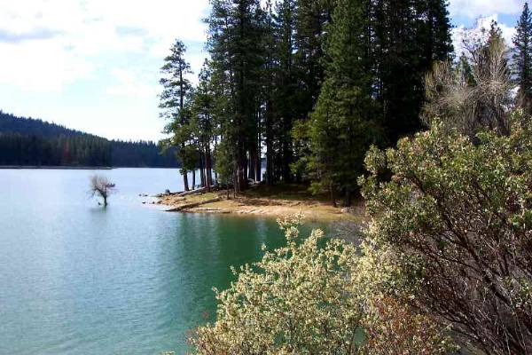 Bass Lake / Crane Valley Reservoir - More info; visit www.filmyosemite.com or call 559.760.1143 (12/15/2008 - Credits: Dave Wolin)