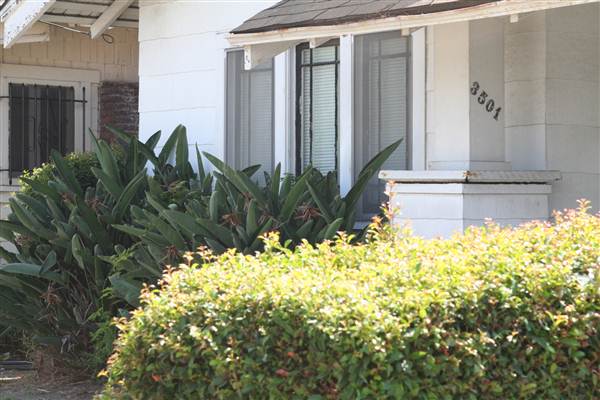 West Adams Neighborhood Historic District (10/10/2012)