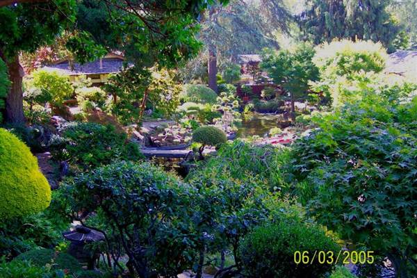 Japanese Tea Garden - San Mateo Central Park & Recreation Center (6/24/2013)