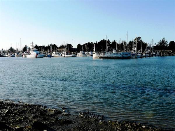 Eureka Woodley Island Marina (1/20/2014)