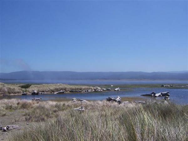 Kellogg Beach (2/17/2014)