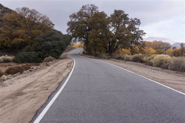 Pyramid Lake (1/26/2015)