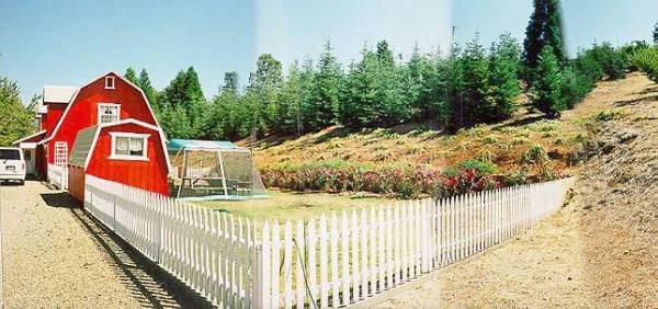 Camino Apple Hill (12/31/2003)