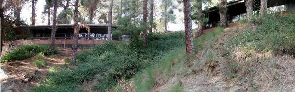 Camp Hollywoodland (12/31/2003)