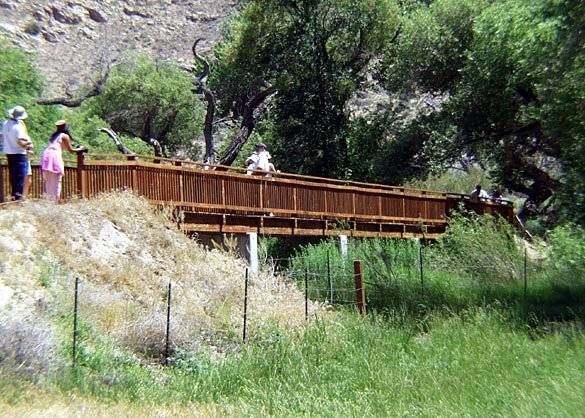 Canebrake Ecological Reserve - California Department of Fish and Wildlife (CDFW) (12/31/2003)