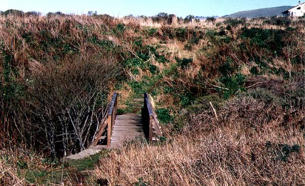 Furlong Gulch Beach (Sonoma Coast State Park) (12/31/2003)