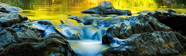 Samuel P. Taylor State Park (SP) (9/17/2015 - Credits: http://parks.ca.gov/?page_id=469)