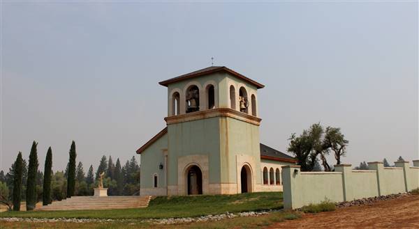 Anselmo Vineyard (10/29/2015)