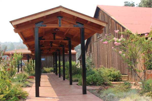 Anselmo Vineyard (10/29/2015)