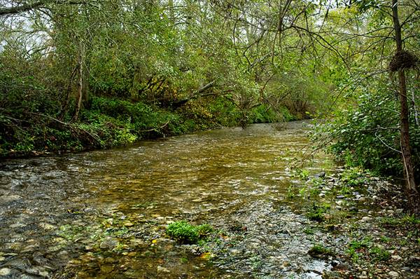 Andrew Molera State Park (SP) (1/8/2016 - Credits: http://www.parks.ca.gov/ImageGallery/?page_id=582)