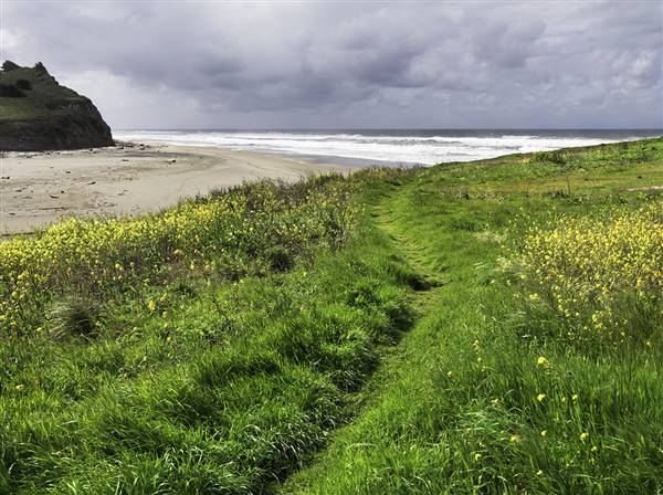 San Gregorio State Beach (SB) (3/1/2016)
