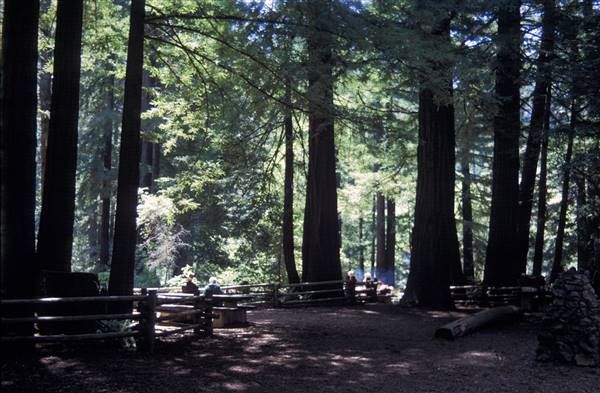 Samuel P. Taylor State Park (SP) (3/2/2016 - Credits: Courtesy of California State Parks)