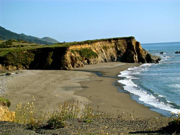 Westport-Union Landing State Beach (SB) - http://stateparkclosurestrip.blogspot.com/ (3/3/2016 - Credits: Photo courtesy of Lucy D'Mot)
