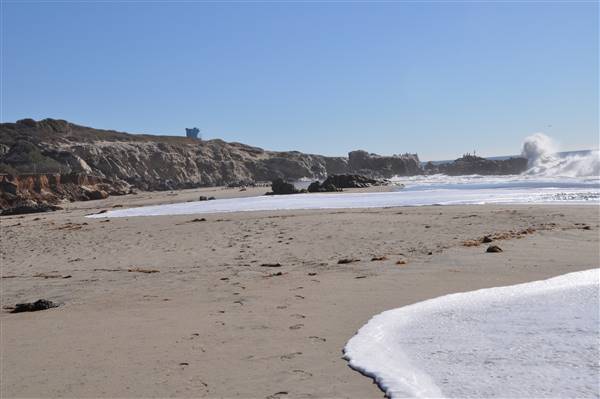 Leo Carrillo State Park and Beach (SP) (3/7/2016 - Credits: Photo courtesy of Robin Citrin)