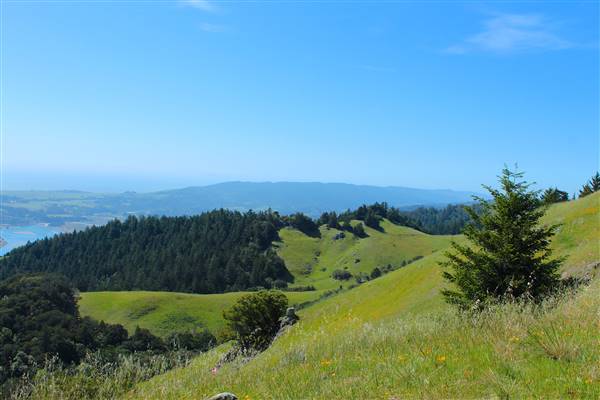Mount Tamalpais State Park (SP) (3/9/2016 - Credits: Photo courtesy of Marin Convention & Visitors Bureau)