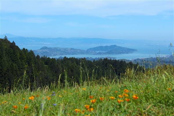 Mount Tamalpais State Park (SP) (3/9/2016 - Credits: Photo courtesy of Marin Convention & Visitors Bureau)