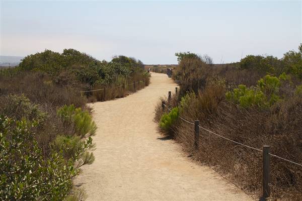 Tijuana Estuary NP Point of Interest /  State Park (SP) - Photo courtesy of Josh McNair, californiathroughmylens.com (3/24/2016 - Credits: Photo courtesy of Josh McNair, californiathroughmylens.com)