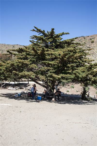 Sycamore Cove State Beach (SB) & Campground @ Point Mugu State Park (SP) - CFC (4/1/2016 - Credits: Photo courtesy of Gillian Bissonnette, California Film Commission)