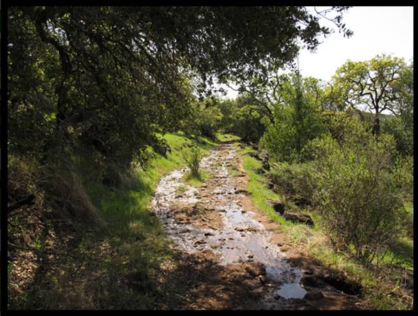 Trione-Annadel State Park (SP) - Photo courtesy of Tim Sartoris (4/7/2016 - Credits: Photo courtesy of Tim Sartoris)