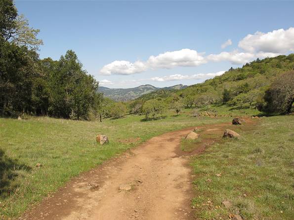 Trione-Annadel State Park (SP) - Photo courtesy of Tim Sartoris (4/7/2016 - Credits: Photo courtesy of Tim Sartoris)