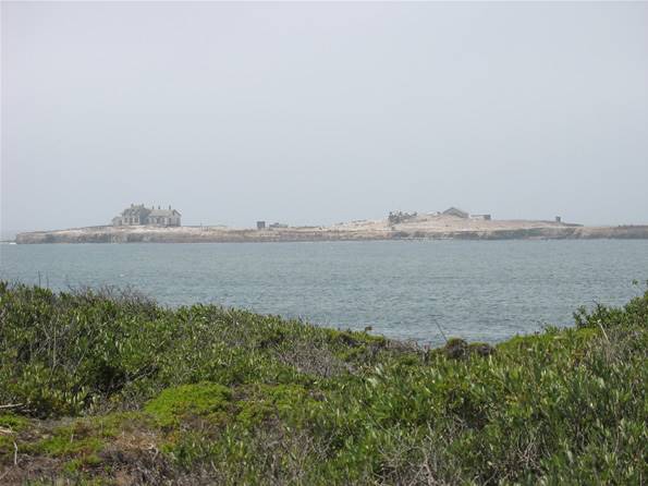 Año  Nuevo State Park (SP) - Photo courtesy of Tim Sartoris (4/7/2016 - Credits: Photo courtesy of Tim Sartoris)