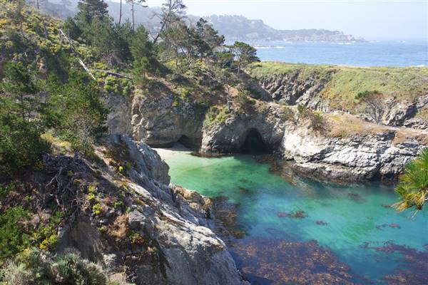 Point Lobos State Natural Reserve (SNR) - Photos by Callie Bowdish - http://www.calliebowdish.com/slideshow/PointLobos/index.html (4/7/2016 - Credits: Photos by Callie Bowdish - http://www.calliebowdish.com/slideshow/PointLobos/index.html)