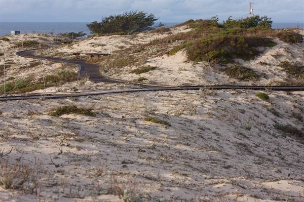 Asilomar State Beach and Conference Grounds - Photo by Callie Bowdish (4/7/2016 - Credits: Photo by Callie Bowdish)