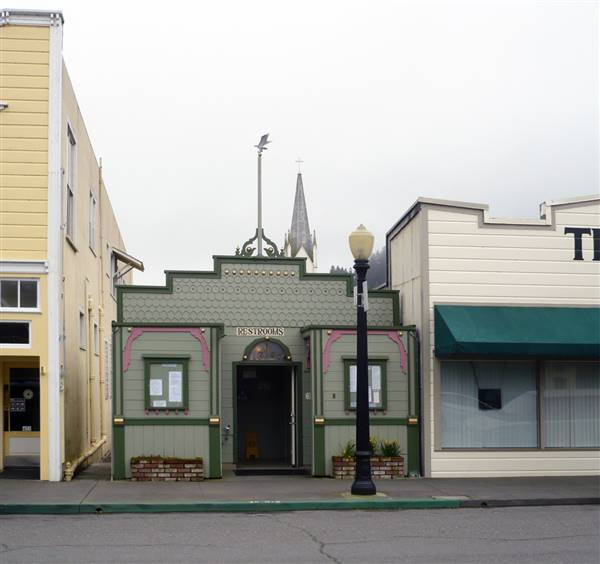 Ferndale, The Victorian Village (3/2/2013 - Credits: By Ellin Beltz (Own work) [Public domain], via Wikimedia Commons)