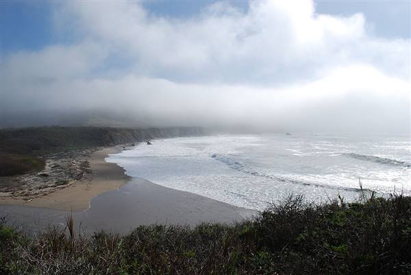 Andrew Molera State Park (SP) (1/15/2010 - Credits: By Stacey Swinehart [CC BY 2.0 (http://creativecommons.org/licenses/by/2.0)], via Wikimedia Commons)
