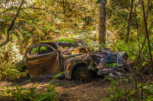Portola Redwoods State Park (SP) (3/8/2015 - Credits: "Abandoned 1949 Chevy" by Wayne Hseih (CC BY-NC 2.0)[https://creativecommons.org/licenses/by-nc/2.0/legalcode] https://www.flickr.com/photos/whsieh78/)