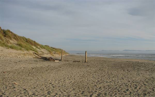 Zmudowski State Beach (SB) (3/28/2010 - Credits: "Zmudowski Beach" by Flickr User: Kelly the Deluded (CC BY-NC 2.0) [https://creativecommons.org/licenses/by-nc/2.0/legalcode] https://www.flickr.com/photos/delusionary/)