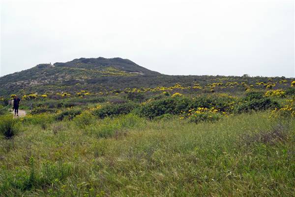 Point Dume Bluffs / Headlands / Big Dume Beach and Pirates Cove Beach @ Point Dume State Preserve - CFC (3/19/2016 - Credits: "Bluff at Point Dume State Park, Malibu, California" Image by Matt Kieffer (CC BY-SA 2.0) [https://creativecommons.org/licenses/by-sa/2.0/legalcode] https://www.flickr.com/photos/mattkieffer/)